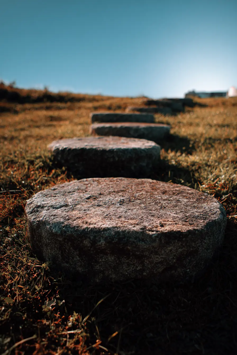 Natural Stone Stepping Path in Grass