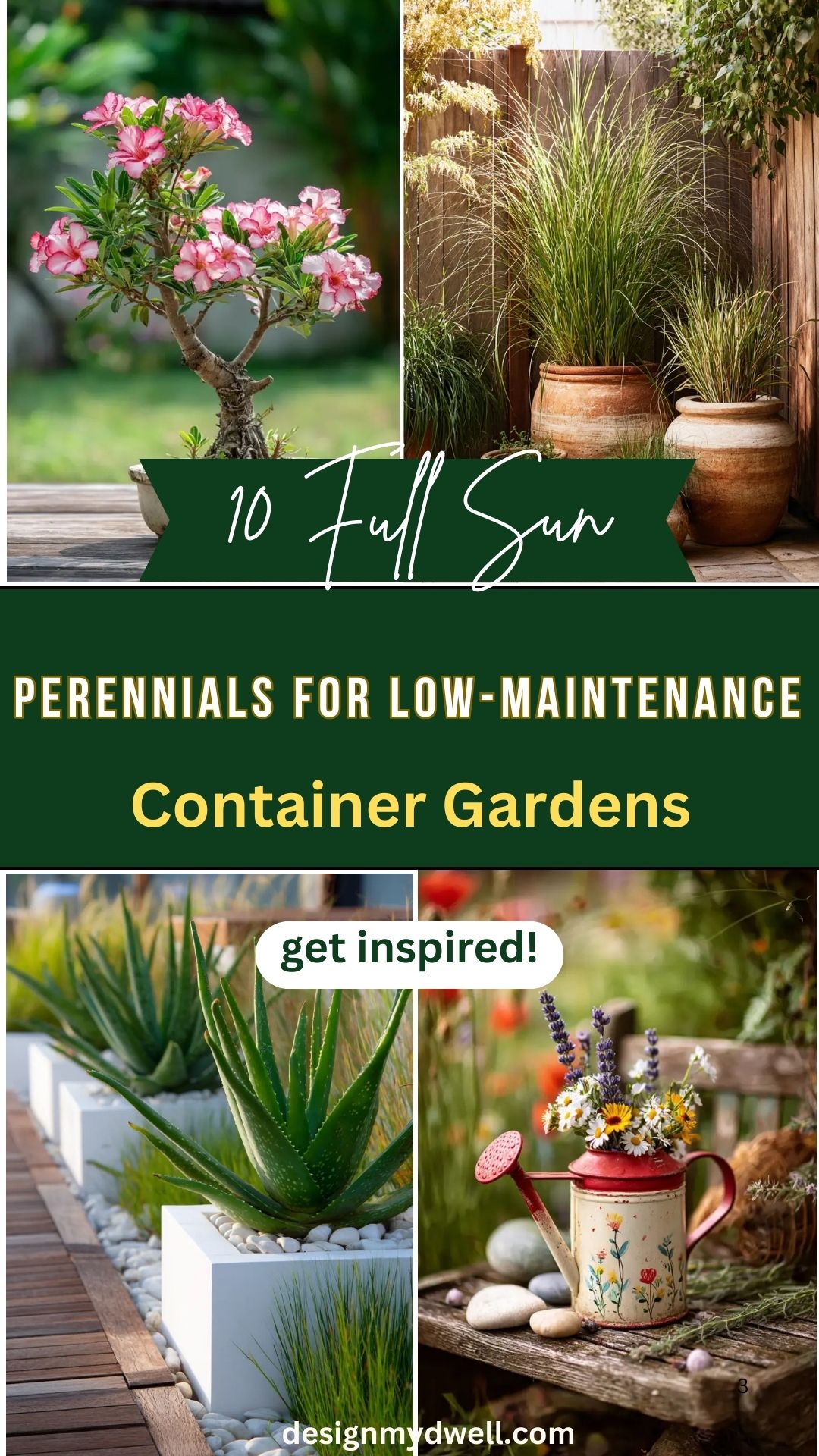 10 Full Sun Perennials for Low-Maintenance Container Gardens (Lazy Gardener Edition)
