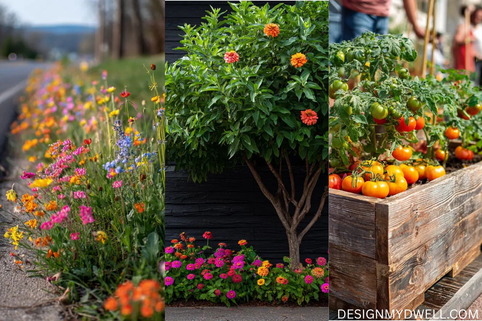 10 Places to Unleash Your Inner Guerrilla Gardener