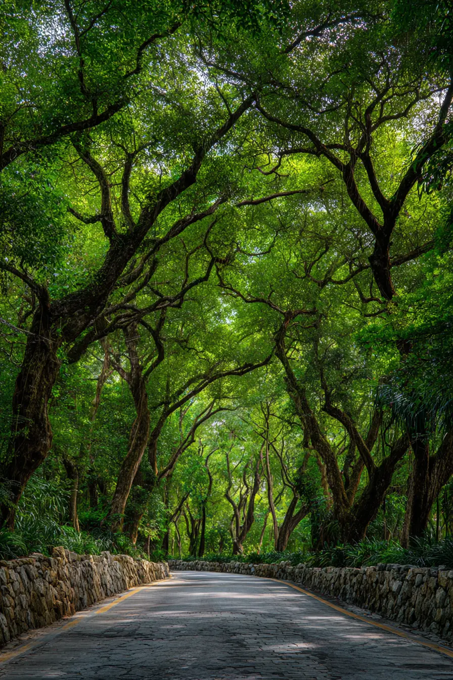 Shaded Limestone Walkway Beneath a Canopy of Trees