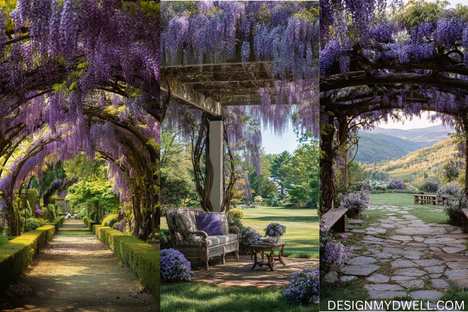 14+ Inspiring Wisteria Garden Ideas to Transform Your Space