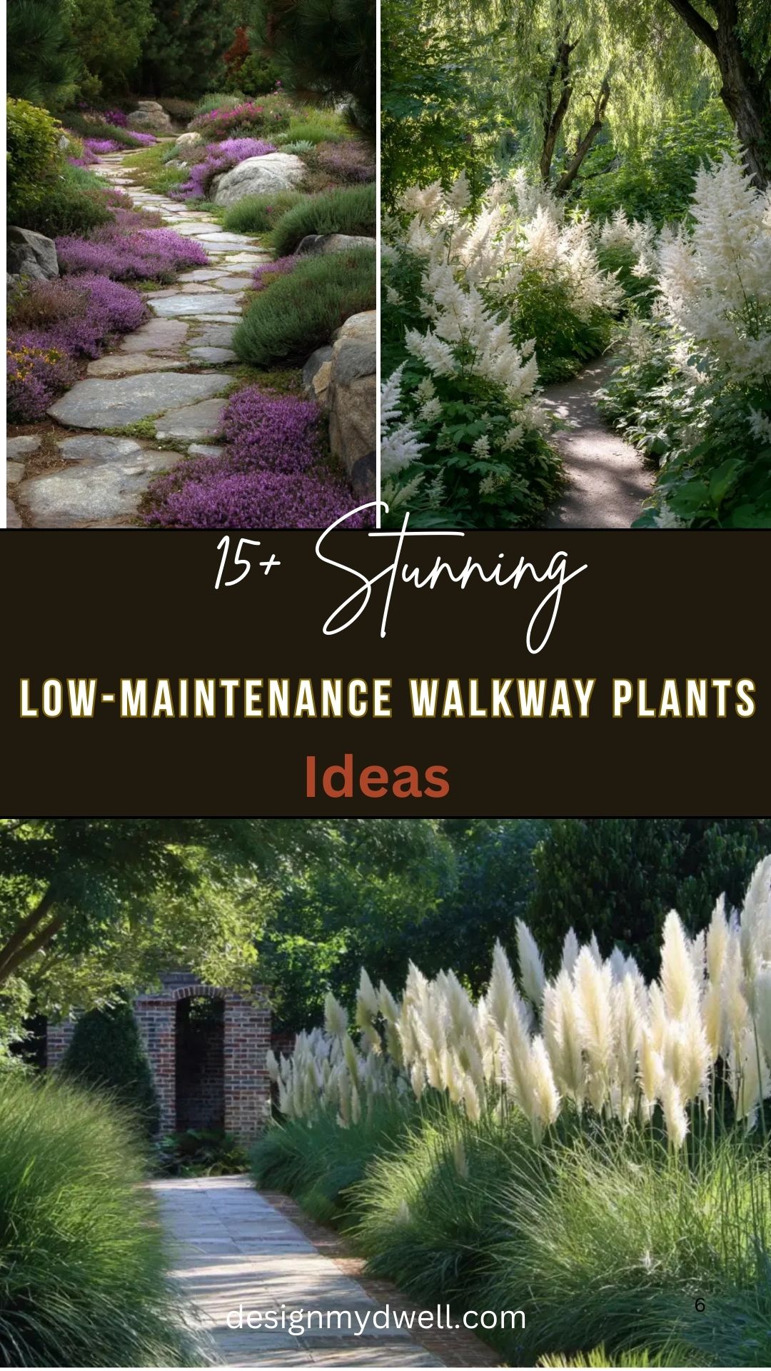 15+ Stunning Low-Maintenance Walkway Plants Ideas