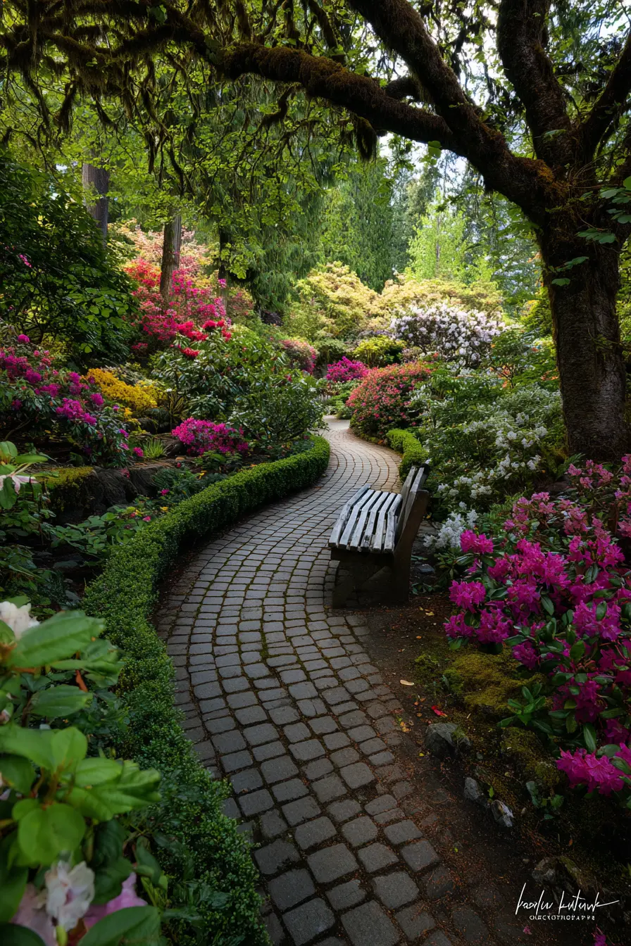 Curved Elegance