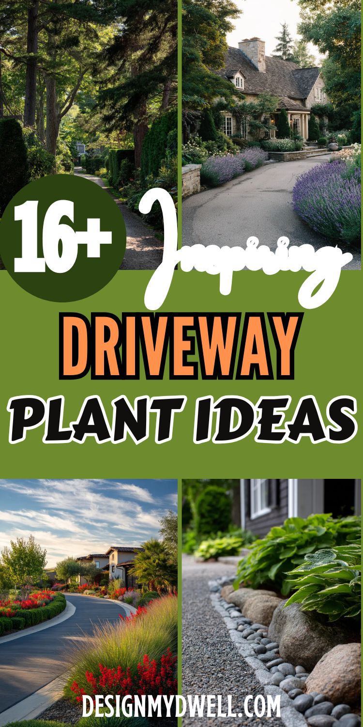 16+ Inspiring Driveway Plant Ideas for a Fresh Look