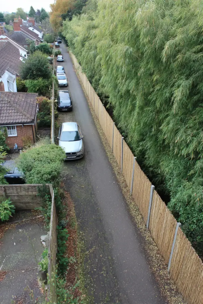 Bamboo-Style Fence for Narrow Shared Driveways