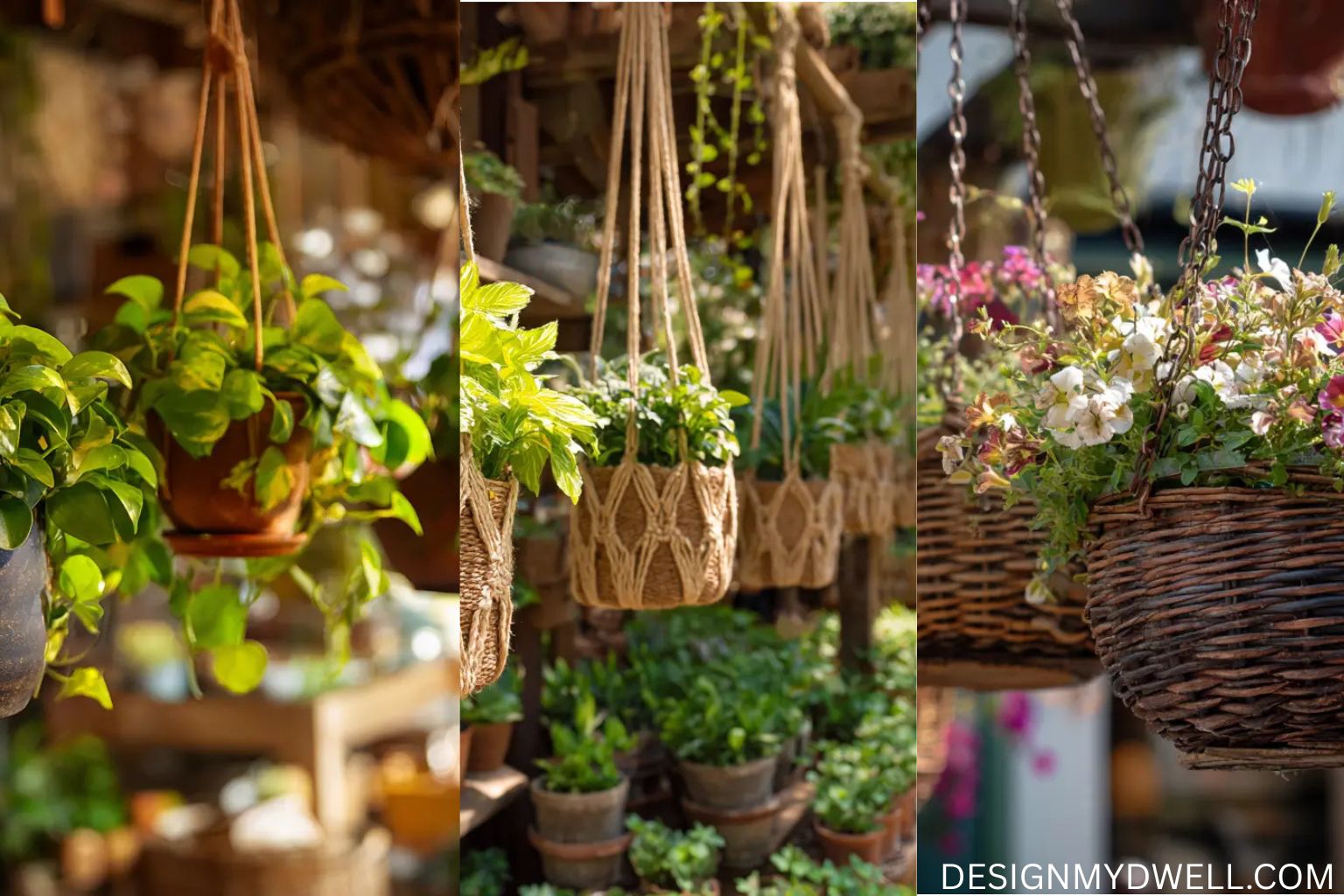 20 Hanging Planter Ideas for Your Home
