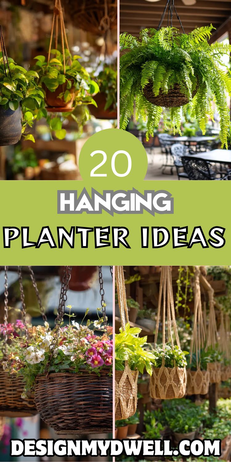 20 Hanging Planter Ideas for Your Home