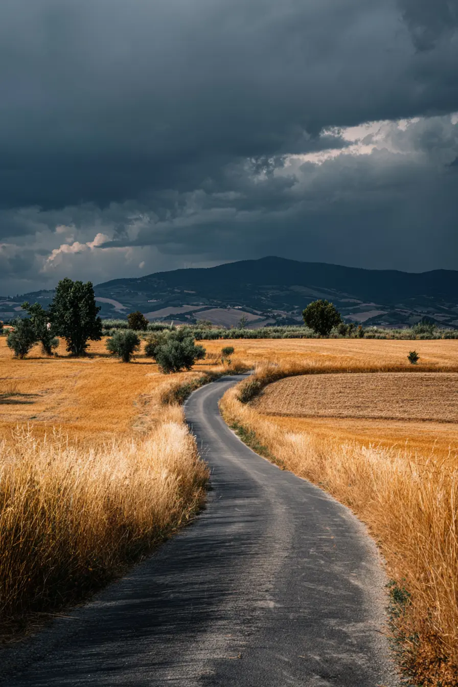 Winding Farm Road Through Golden Fields