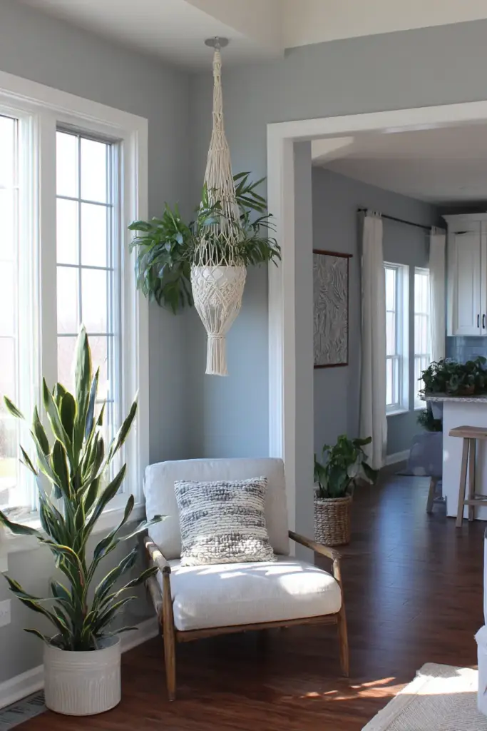 Macramé Plant Hangers (Technically Wall Decor and Totally Adorable, Don’t Judge Us)