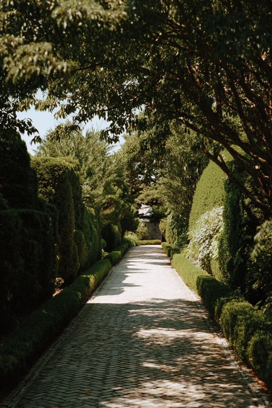 Green Hedge Driveway Divider
